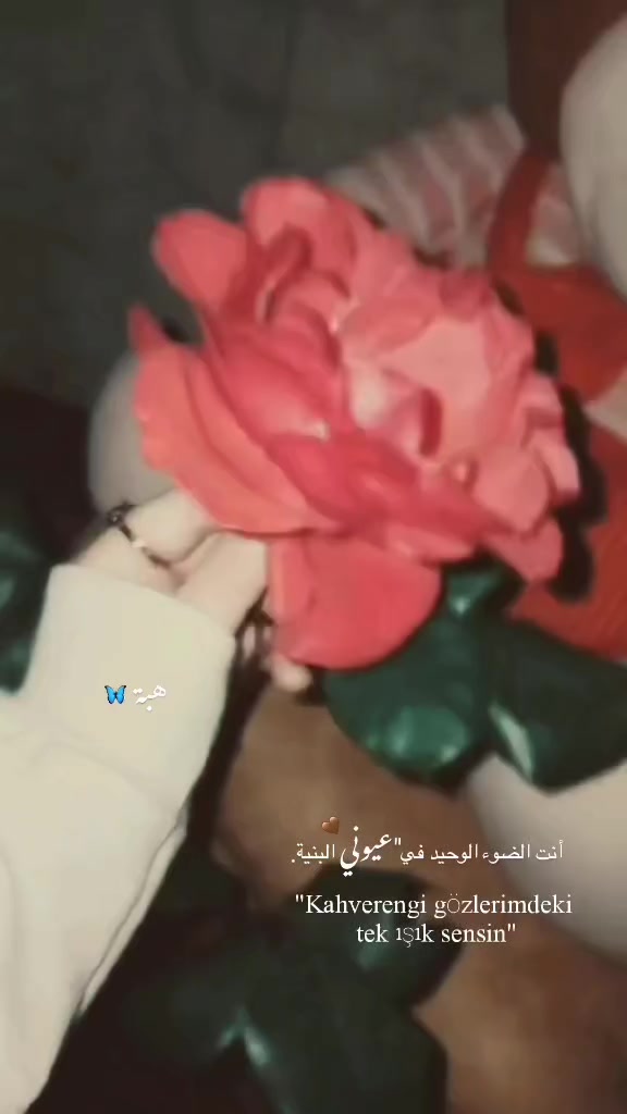 @هبِهۃِةَ🦢.