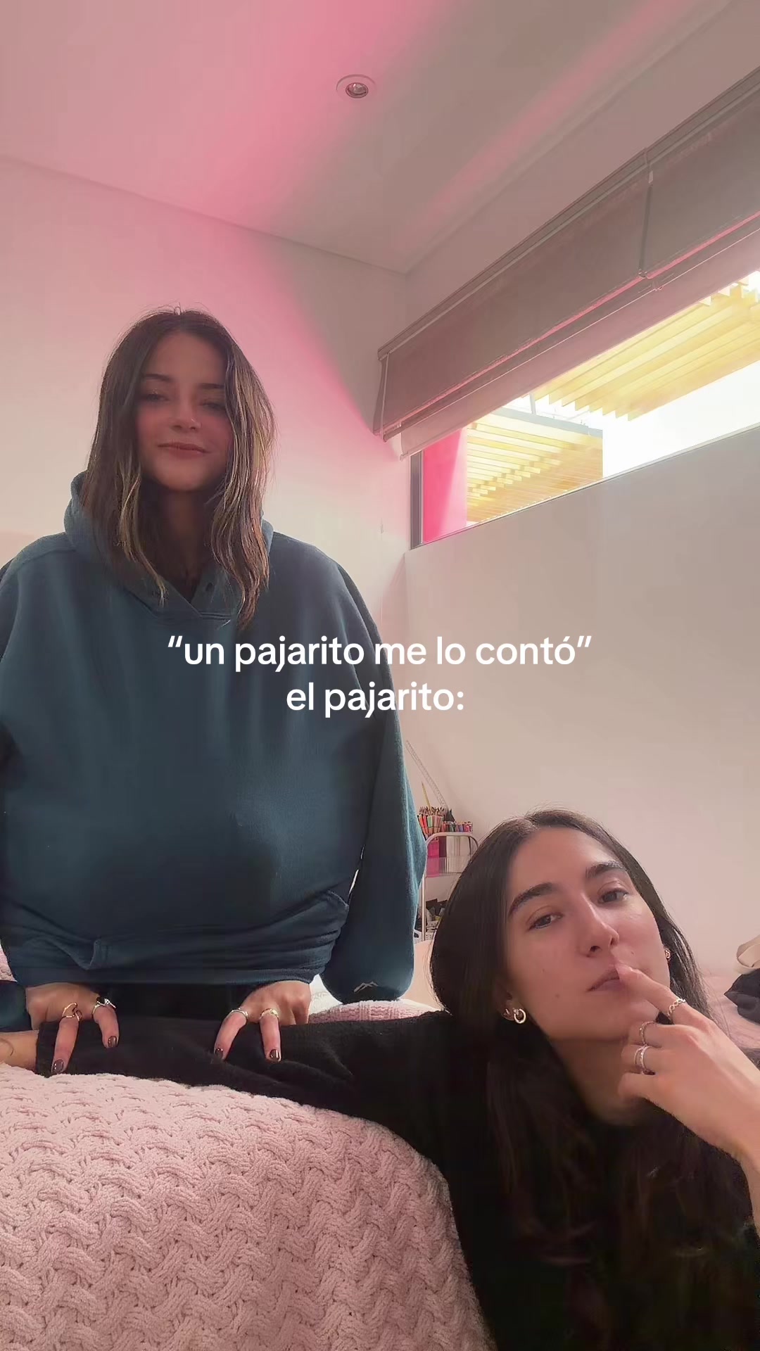 @🐈alinaaa