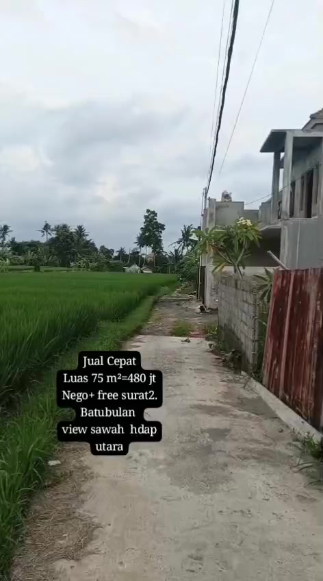 @Gus hana