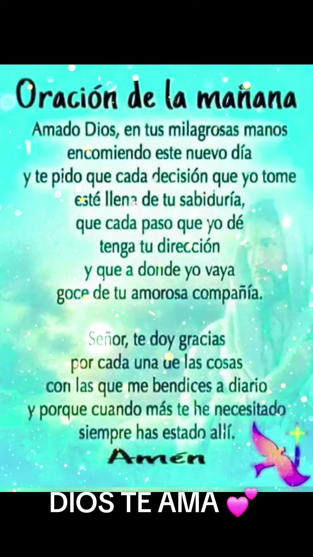 @orlandosanchez613