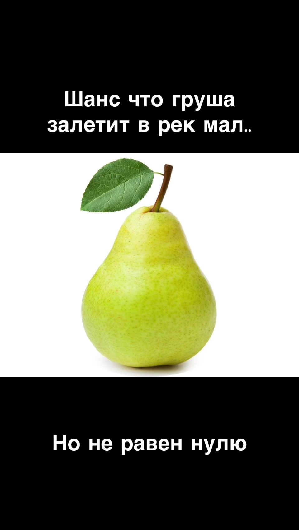 @bayohet