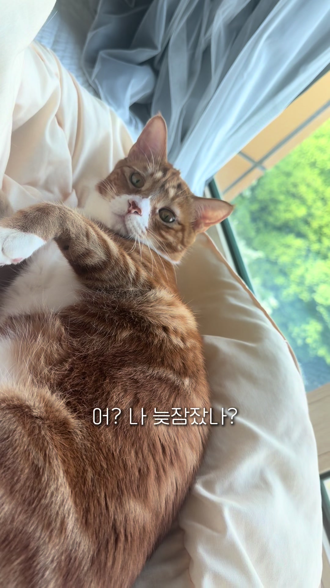@뮤춘삼