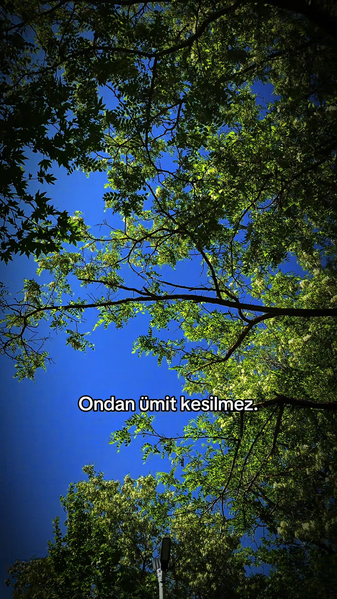 @Droneçekimigebze