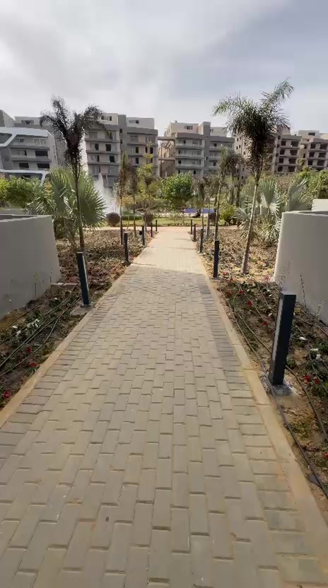 @ترند دايماً
