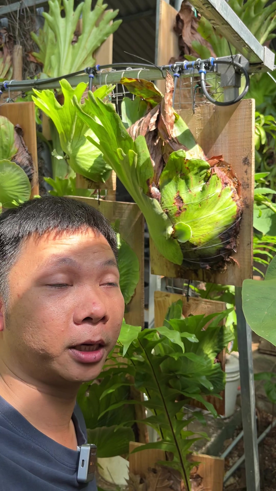 @Huy Kiểng L&aacute;