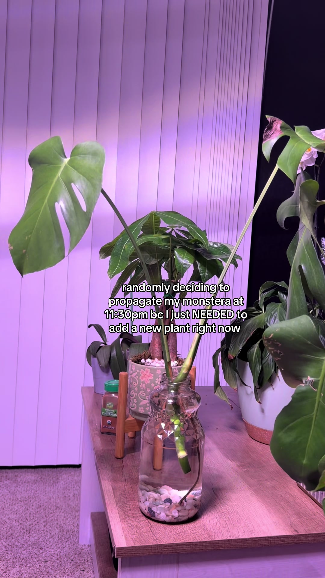 @Selena 👩🏽&zwj;🍳🌞💖