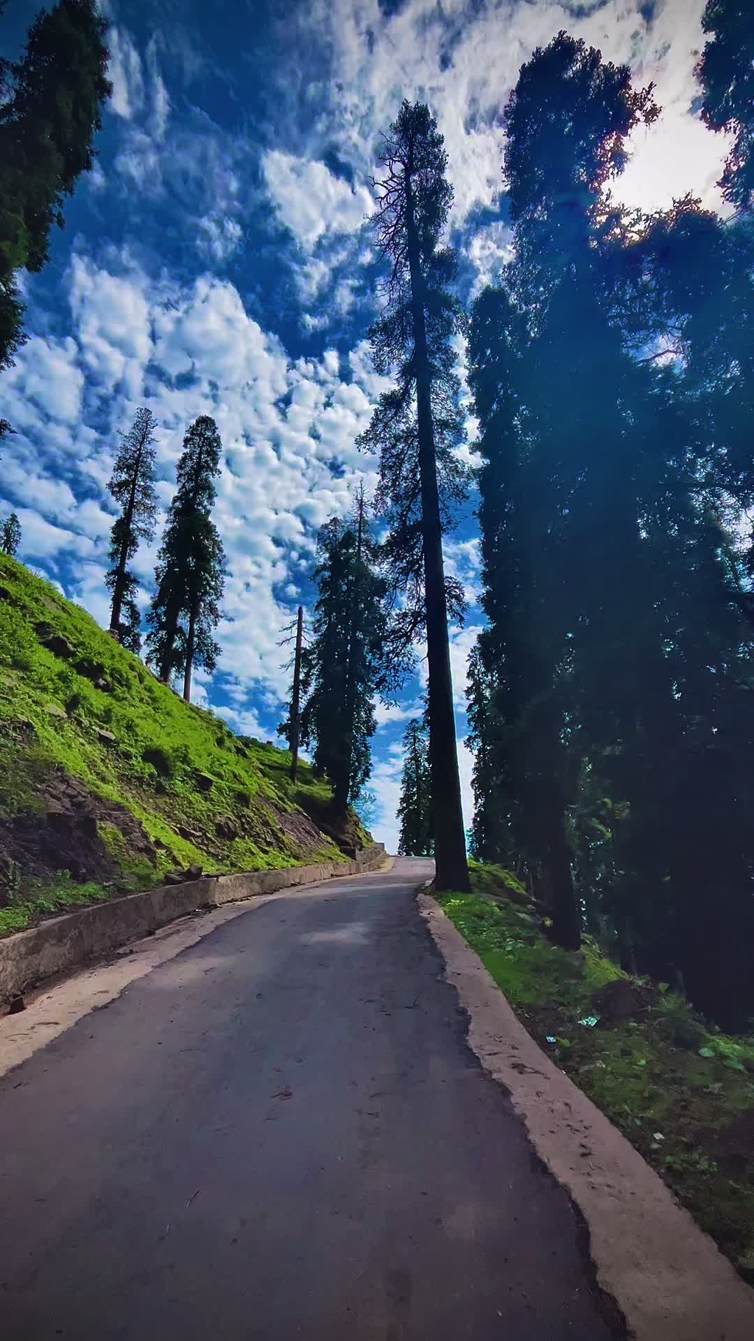 @Kashmir Valley ♥️