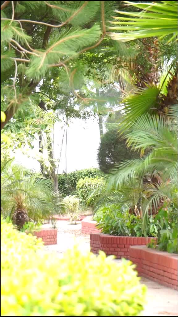@Inder Pamal