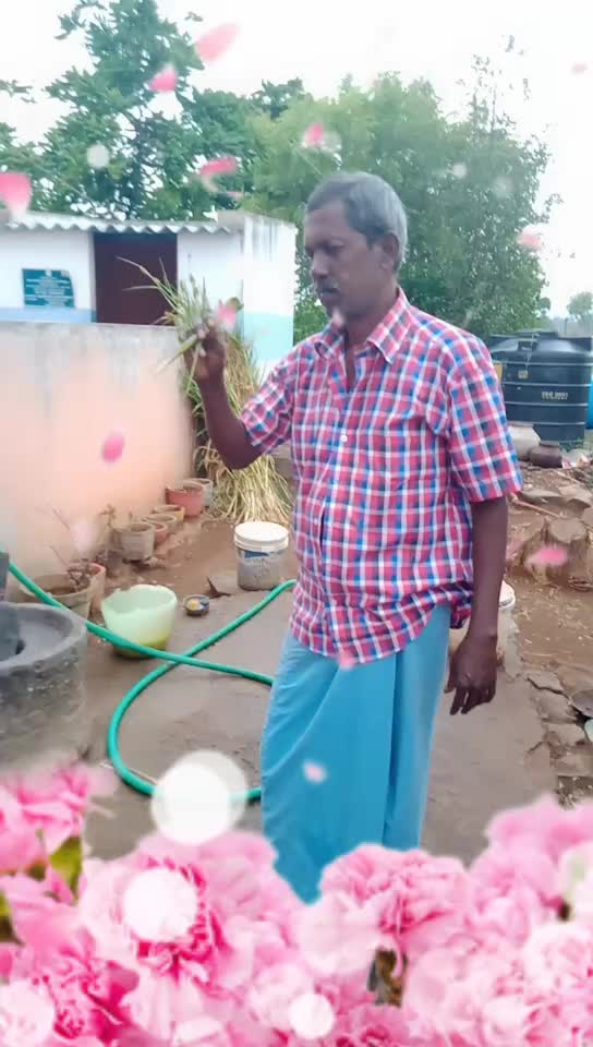@user412862260800