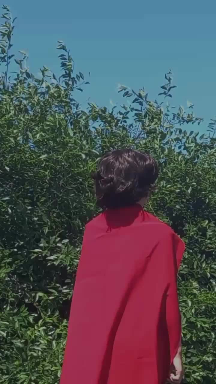 @танчик🛩️