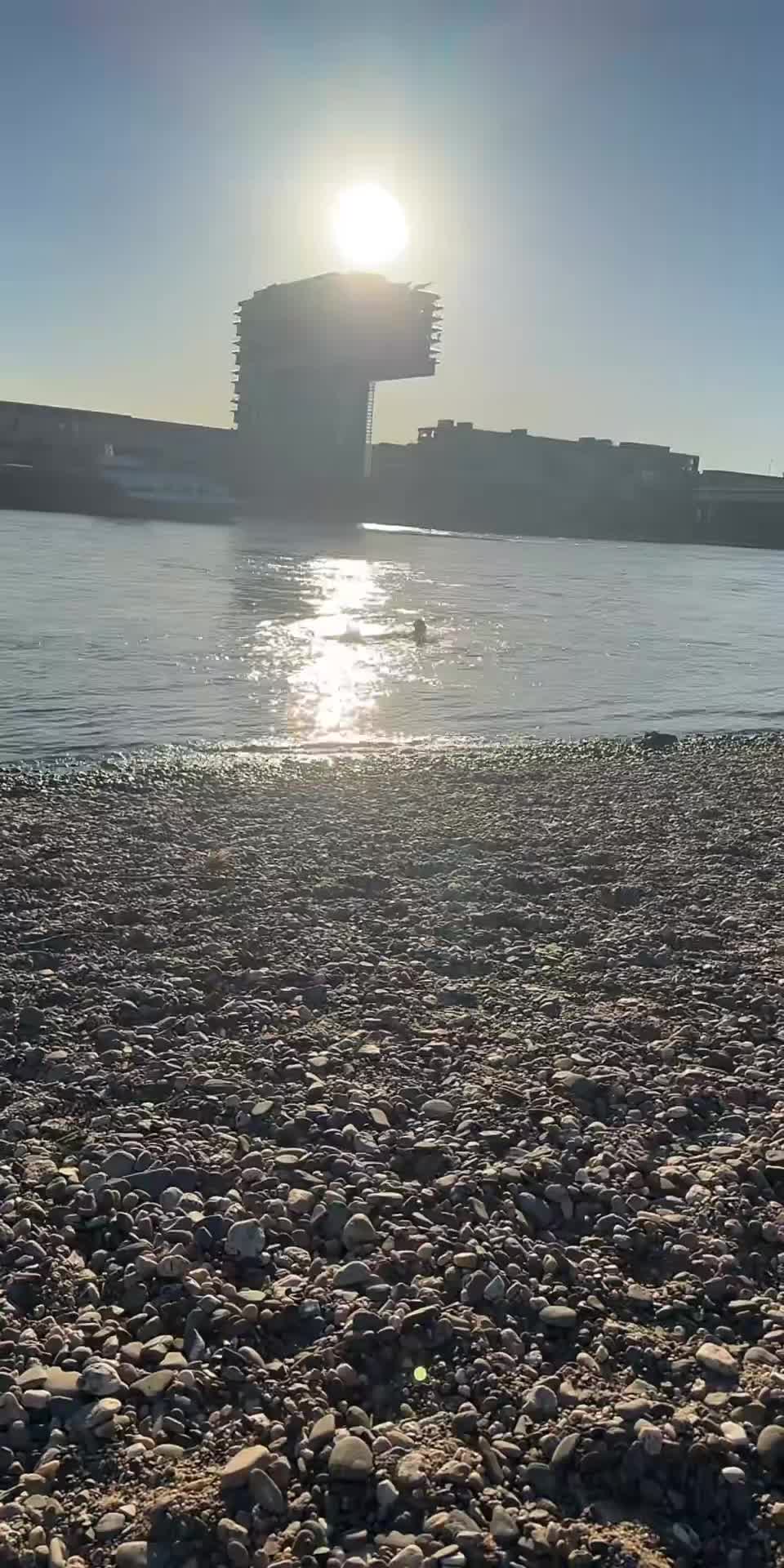 @المصمم الشاوي𓆩𝟓𝟎𝟓𓆪