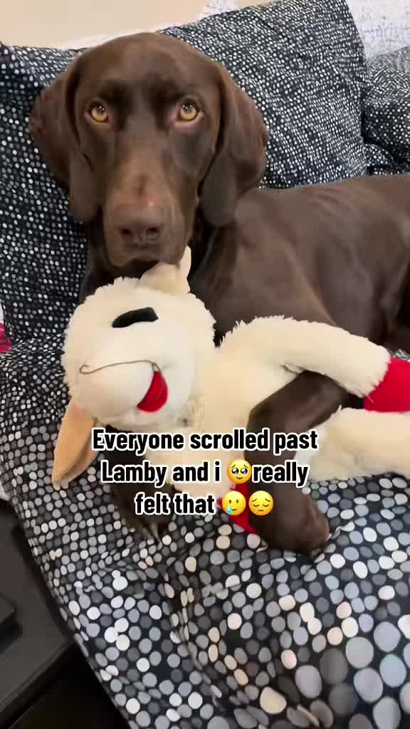 @Rocky_and_mom 🐾❤️🐶