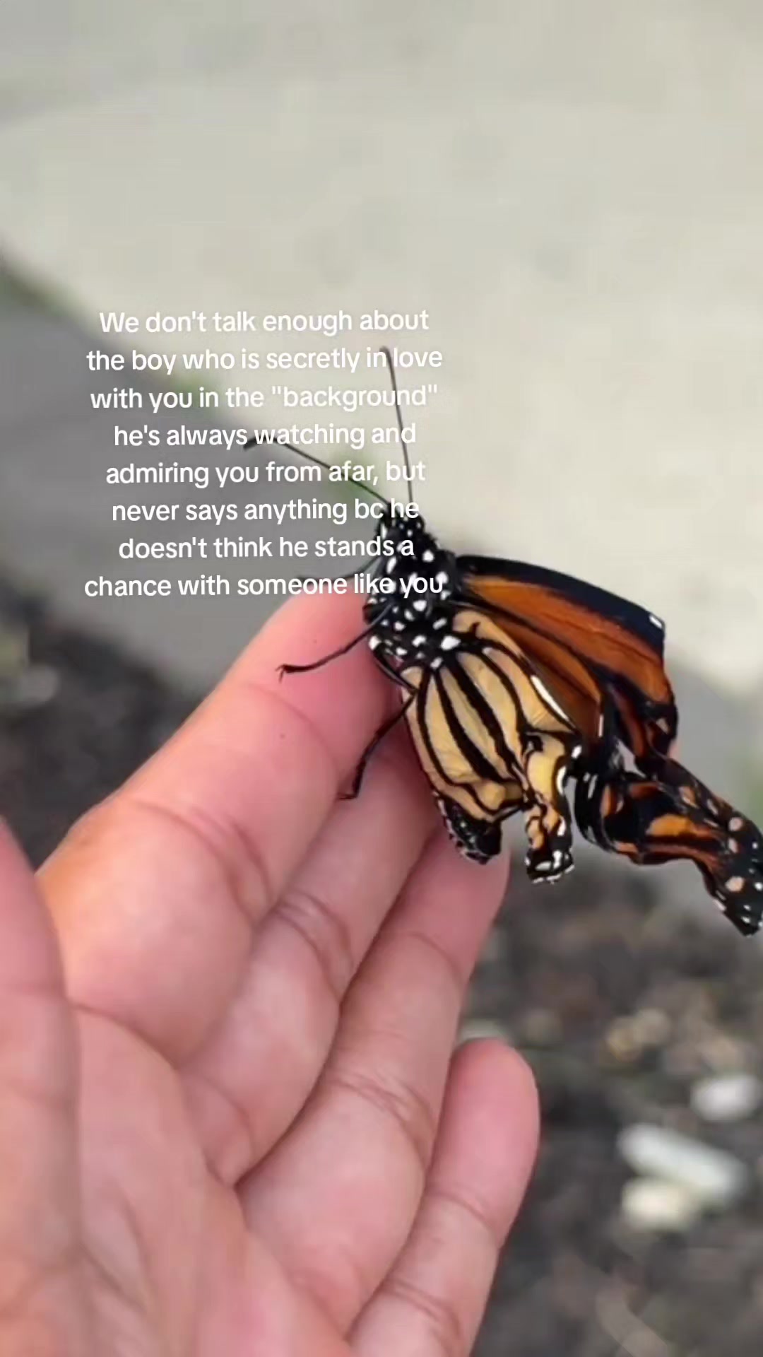 @🦋its_kiki🦋
