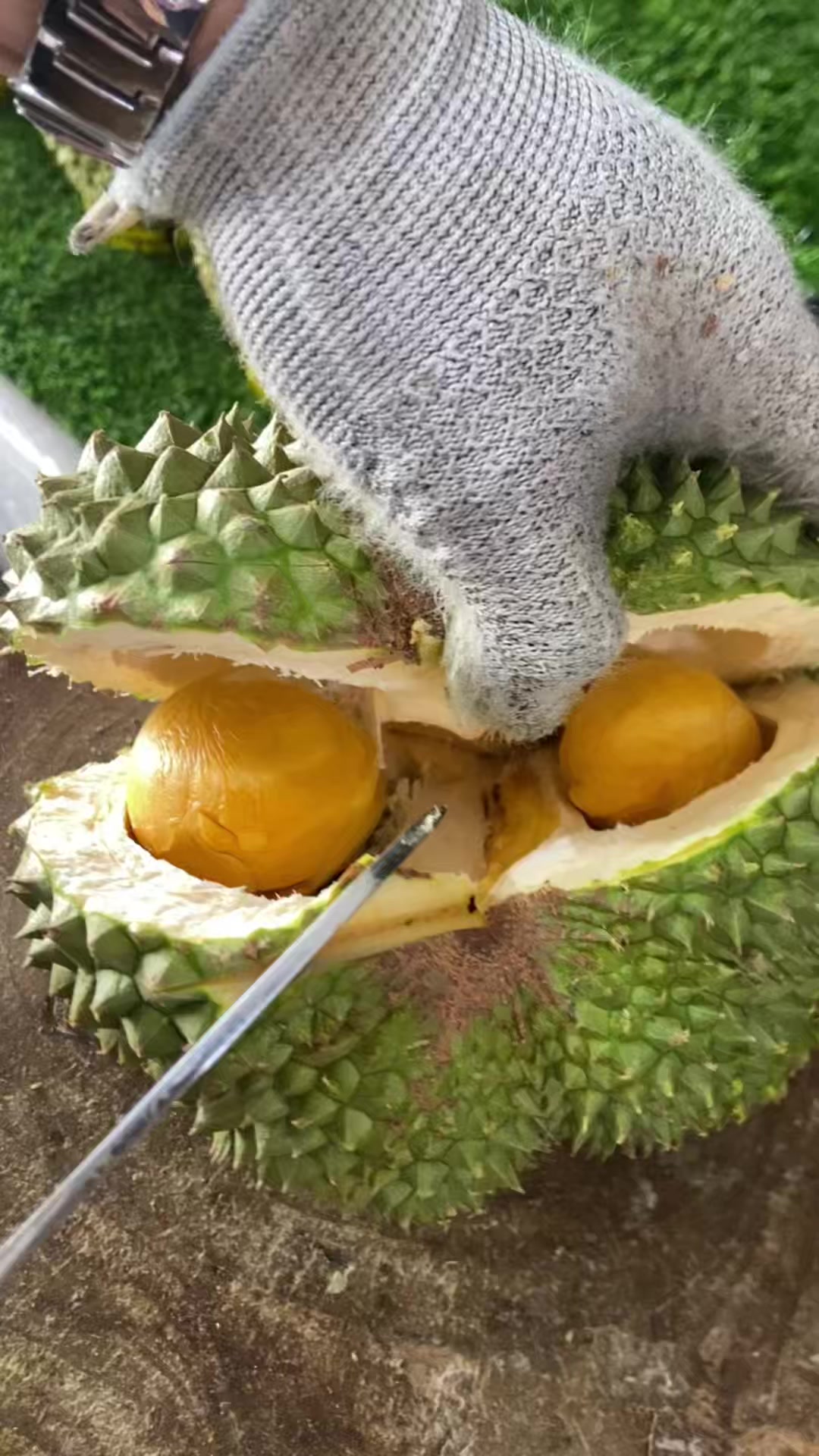 @Cicip Durian