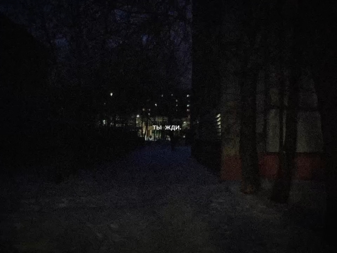 @sofia
