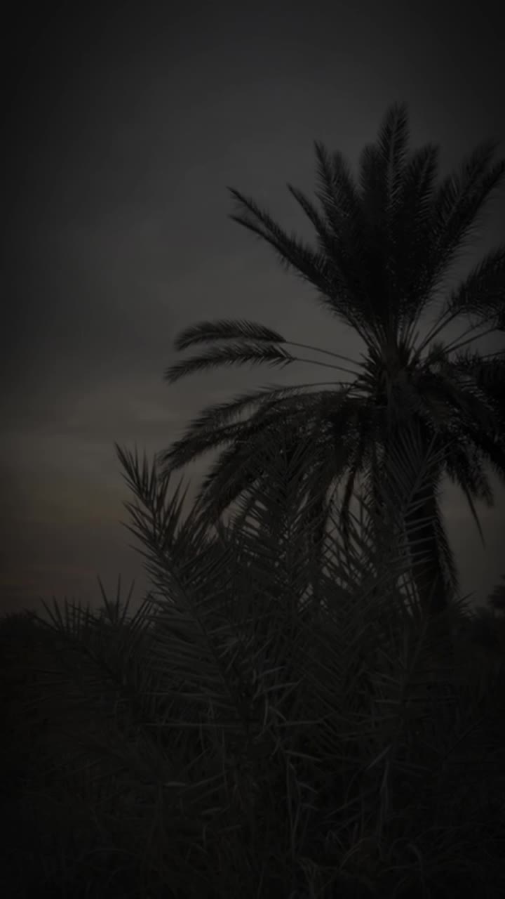 @مصطفى الجبوري
