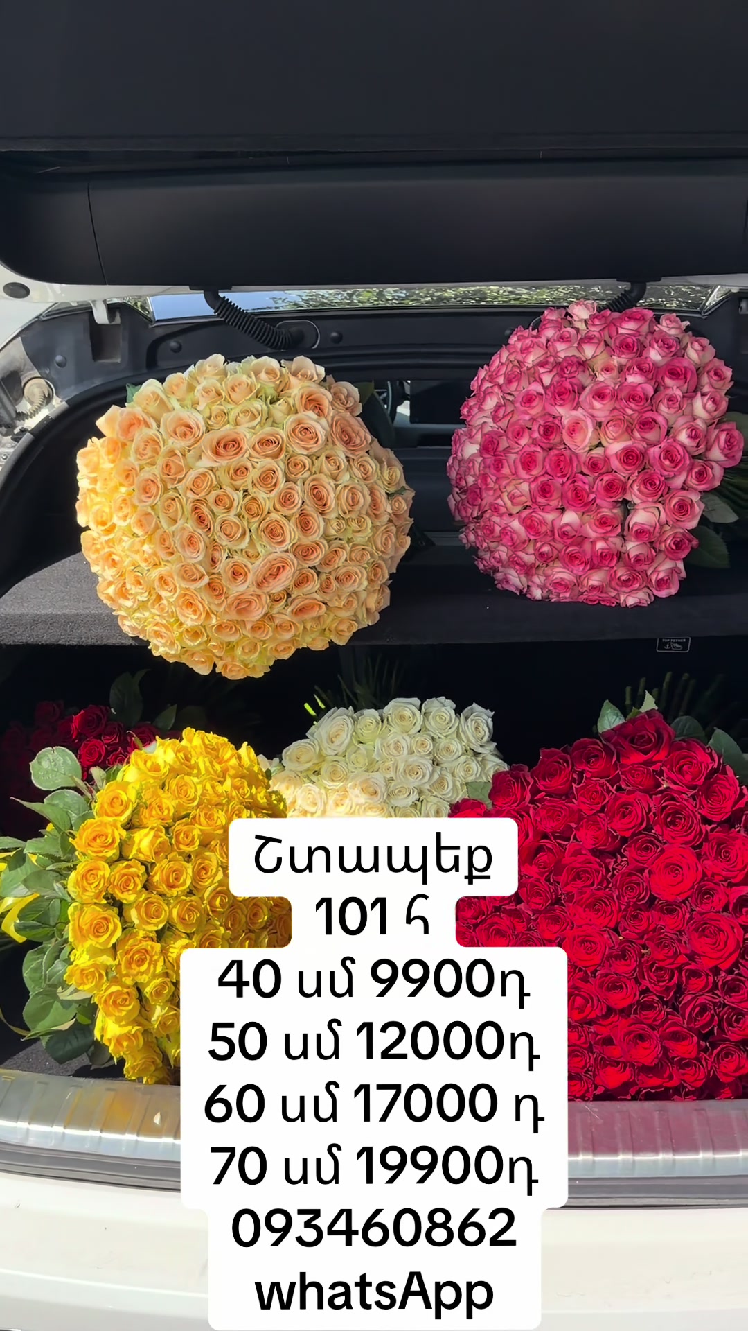 @Ծաղիկներ&ensp;Melex