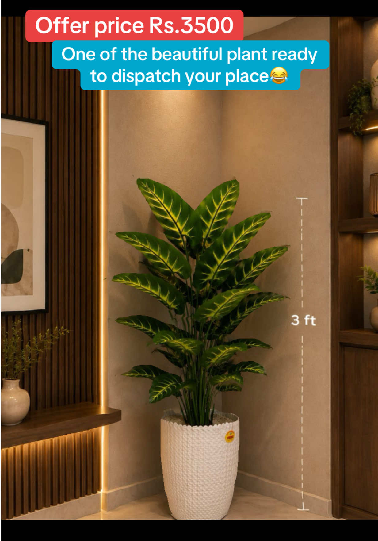@wallpaper Dhankuta Home Deco