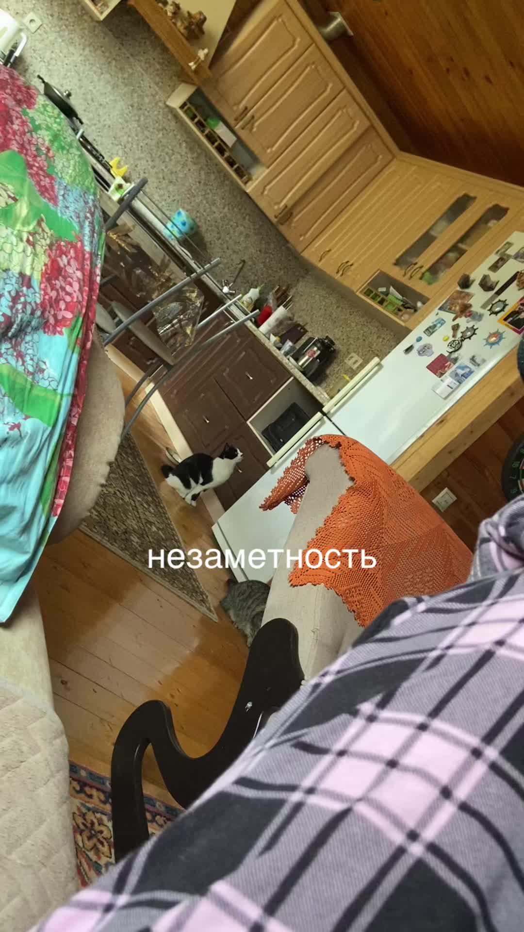 @Ульяность🪽