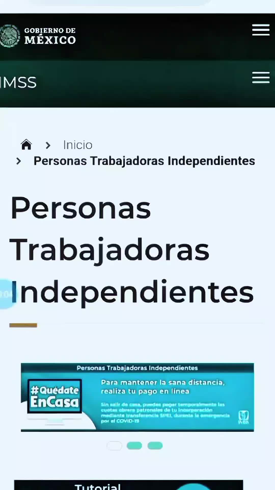 @CESAR SALDIVAR ASESOR