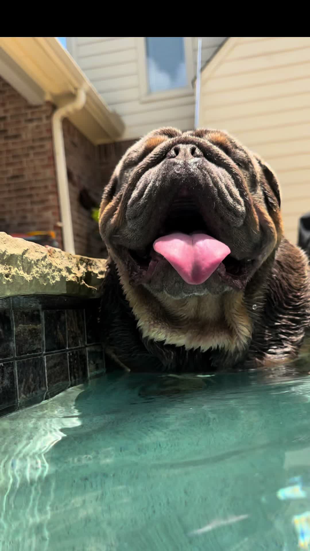 @RawlsTheBulldog