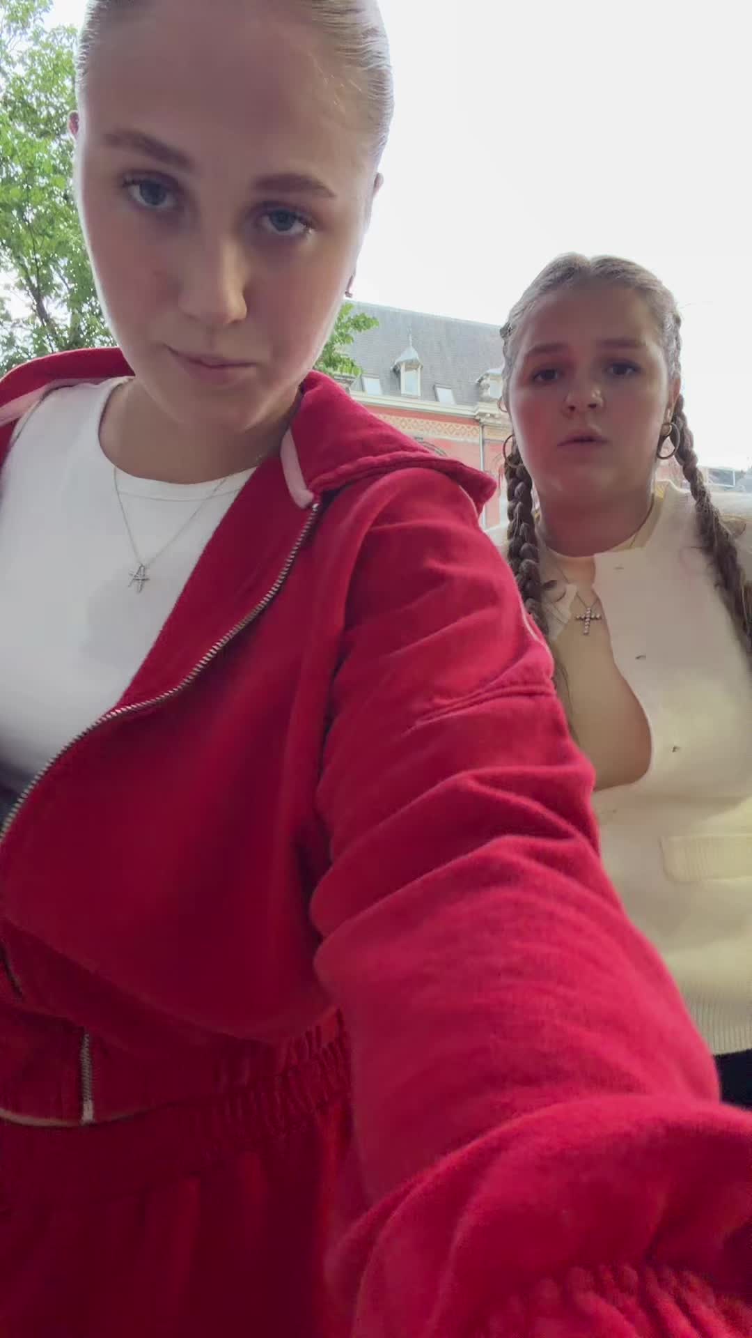 @hamsters