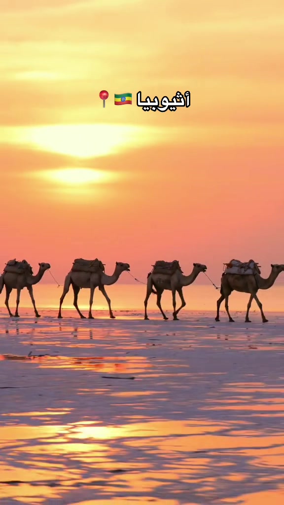 @🇪🇹📍اكتشف أثيوبيا