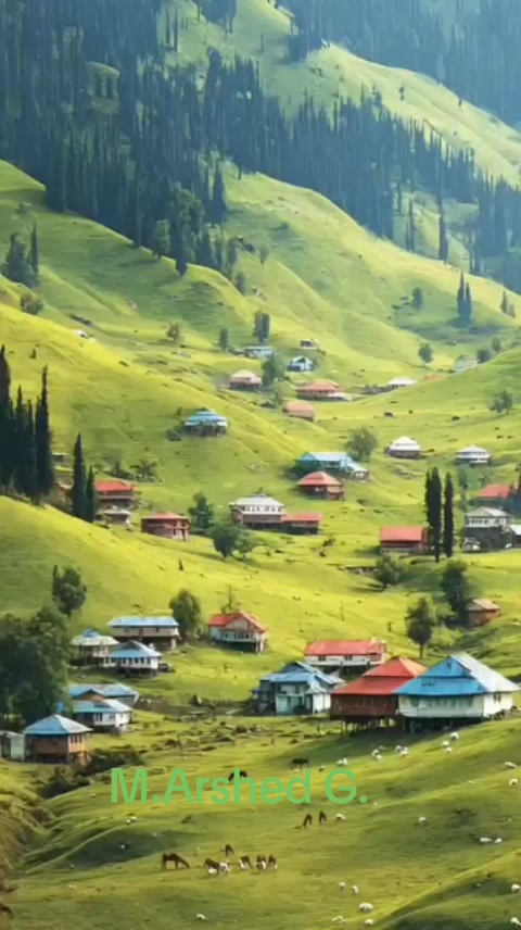 @M,Arshad kashmiri