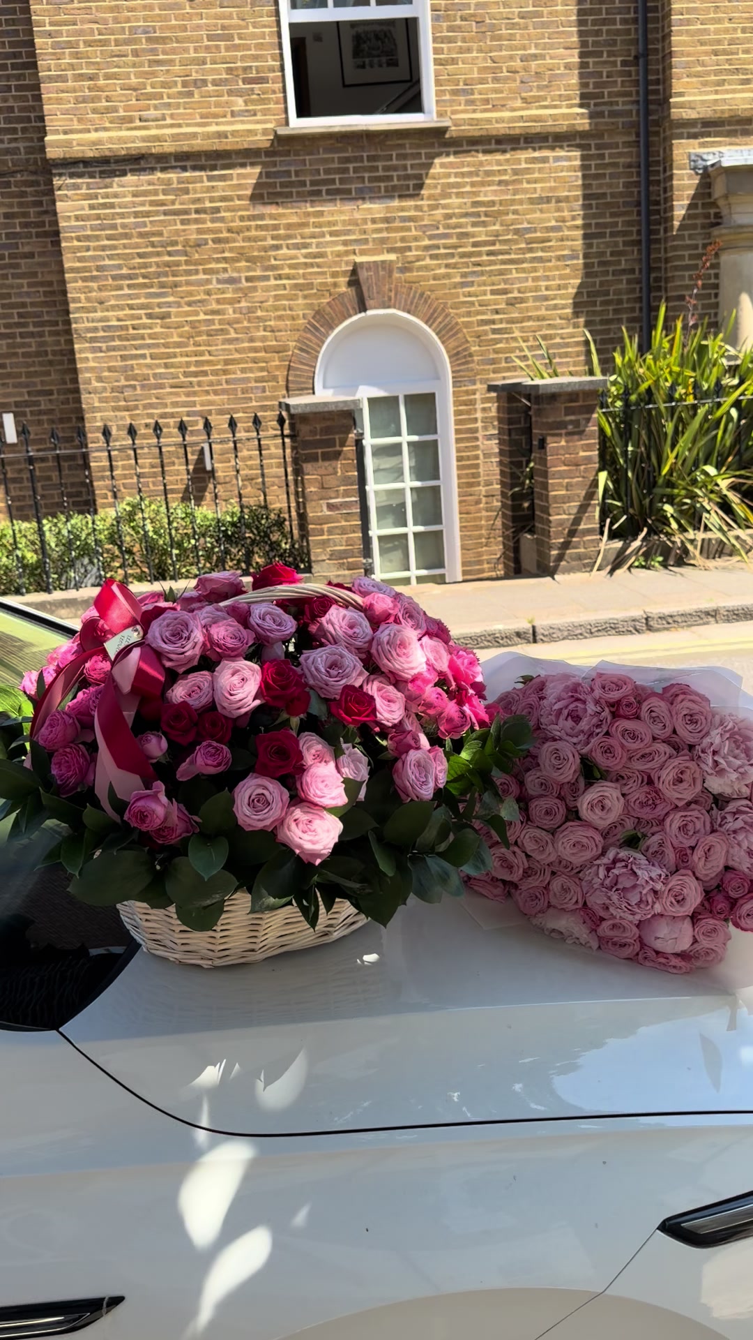 @illyrianflowers