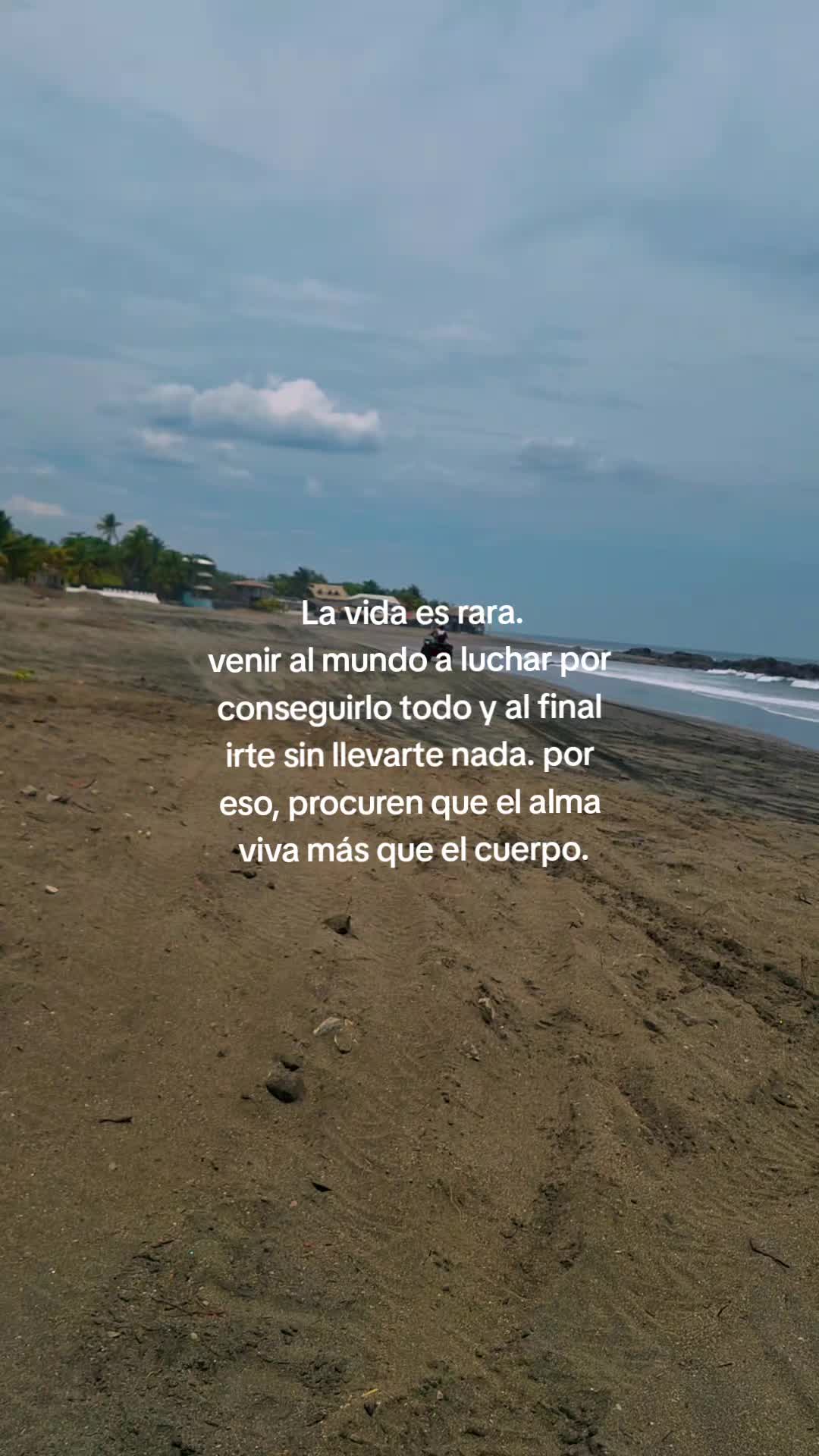 @Massiel .🌵.