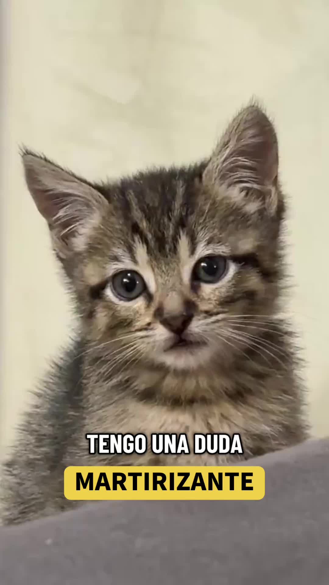 @mili_la_yorki
