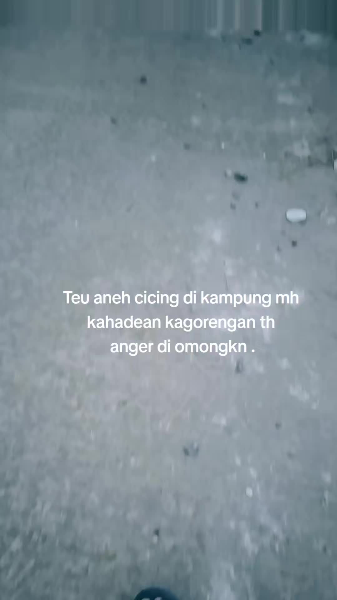 @YanHoree🦖
