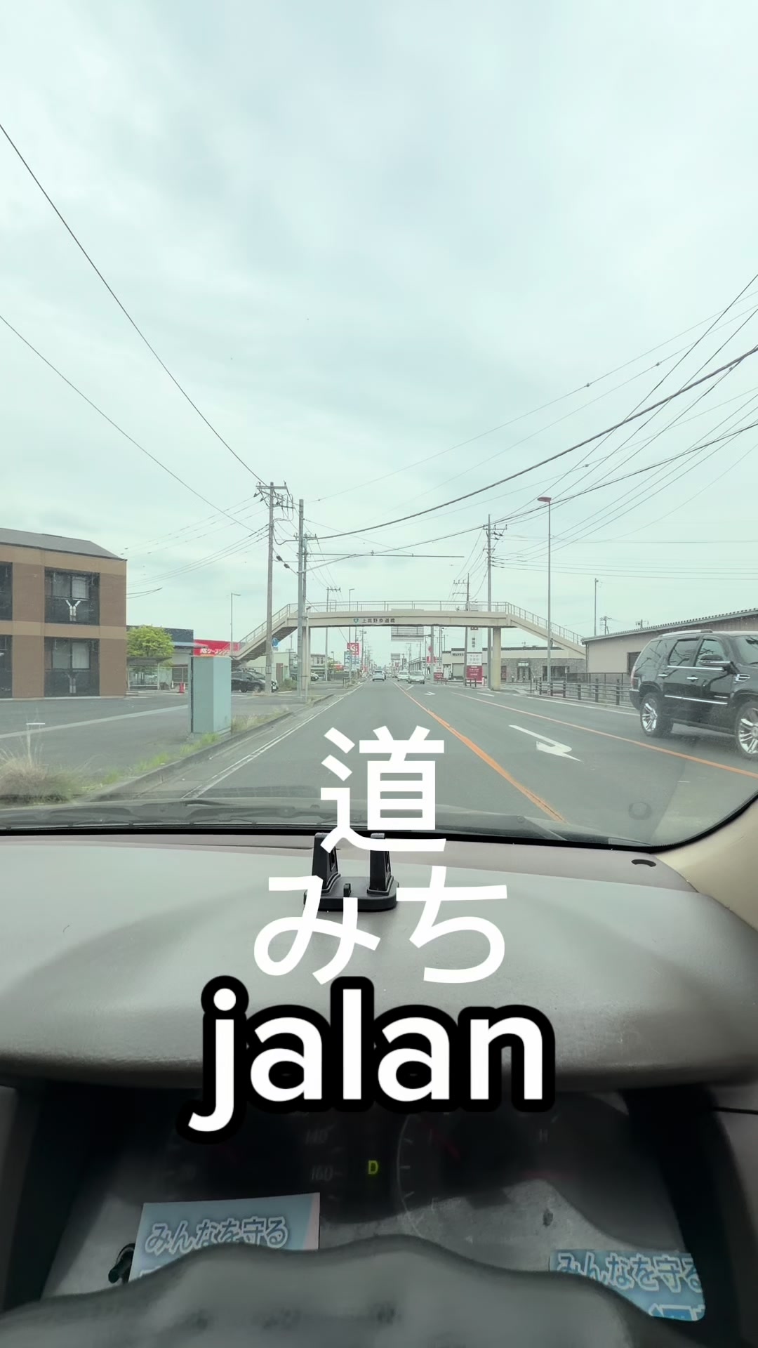 @Cahaya Momo 🇮🇩🇯🇵