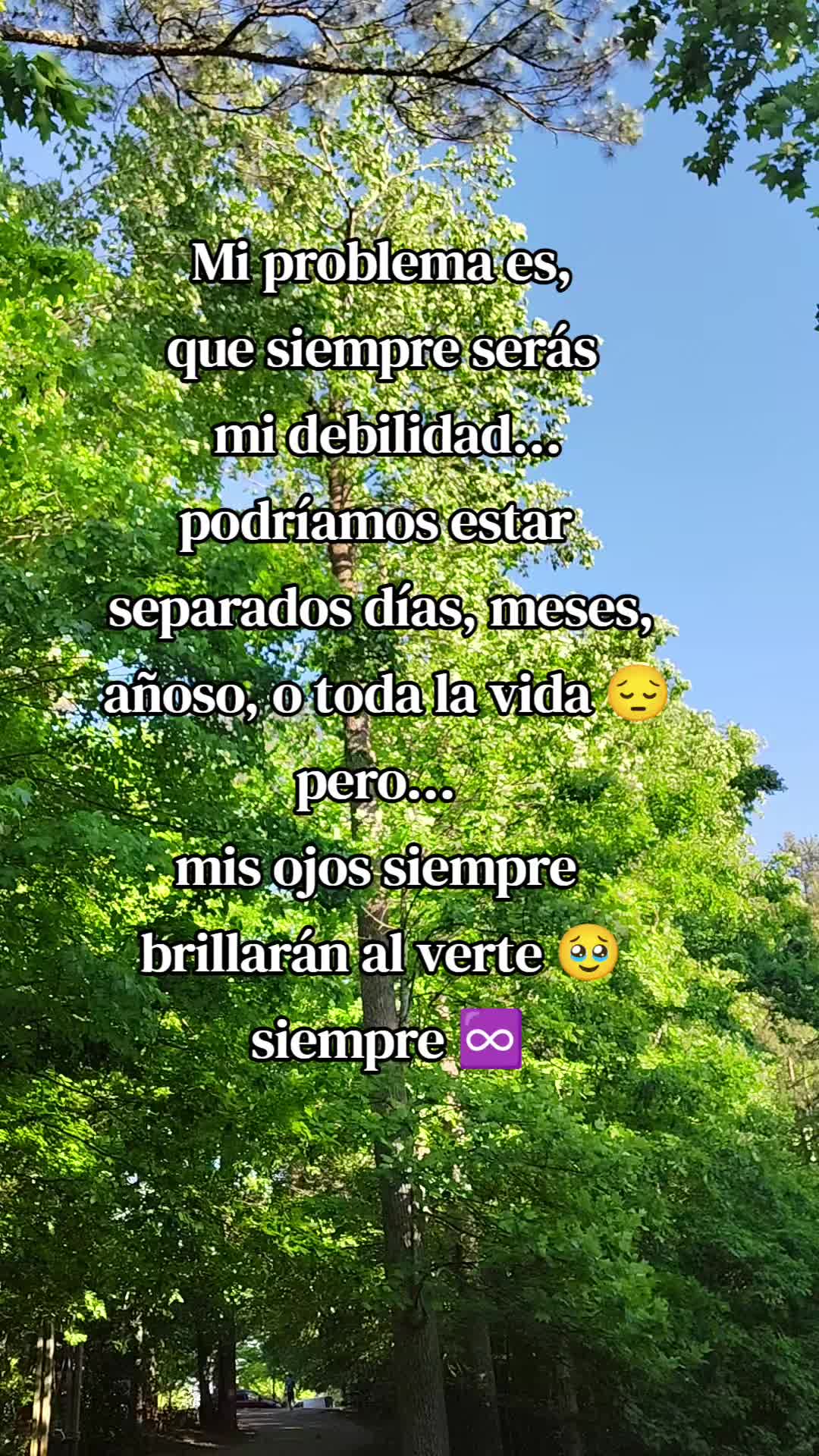 @🦅 𝐸𝒶𝑔𝓁𝑒𝒶𝓏𝓊𝓁 🌙
