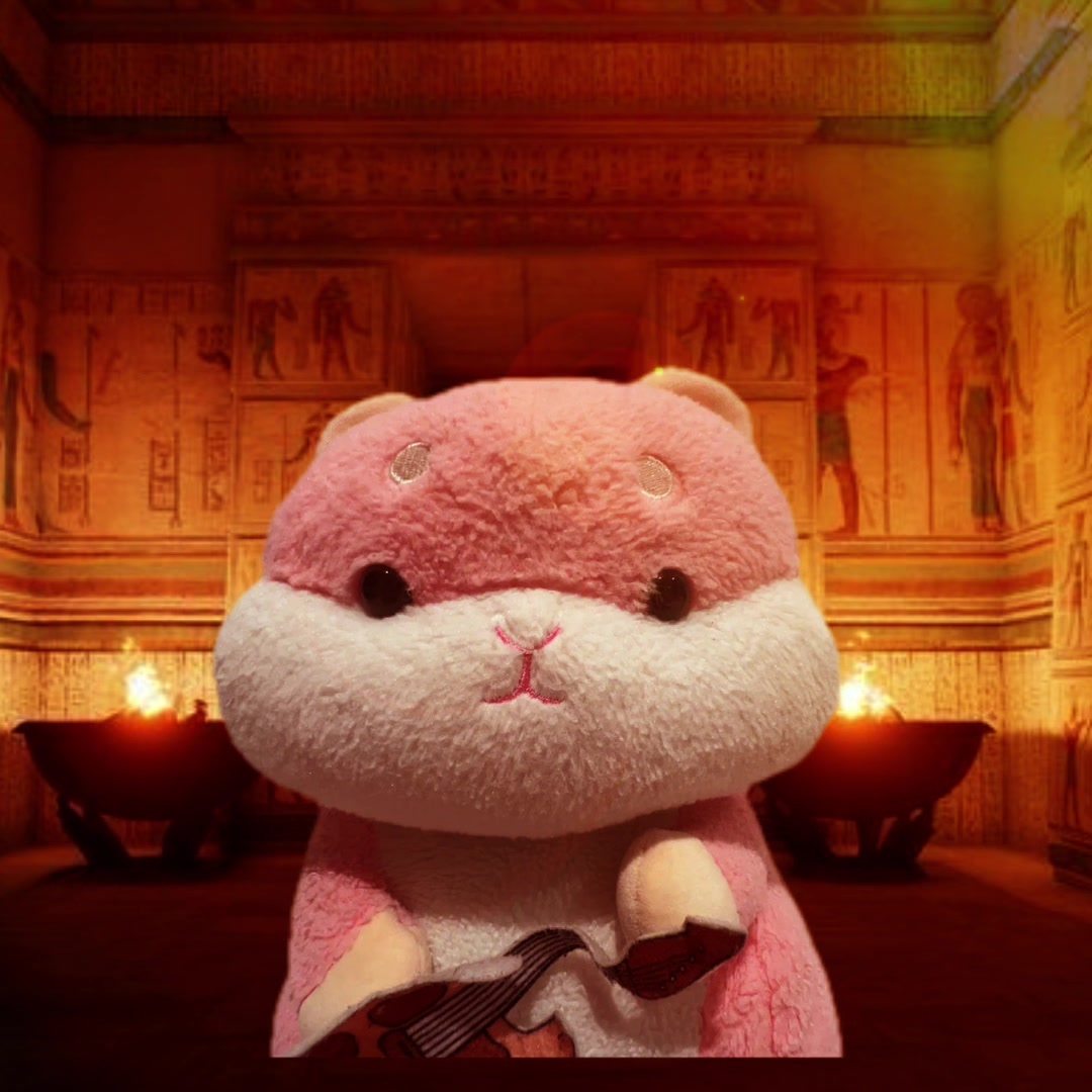 @🐹