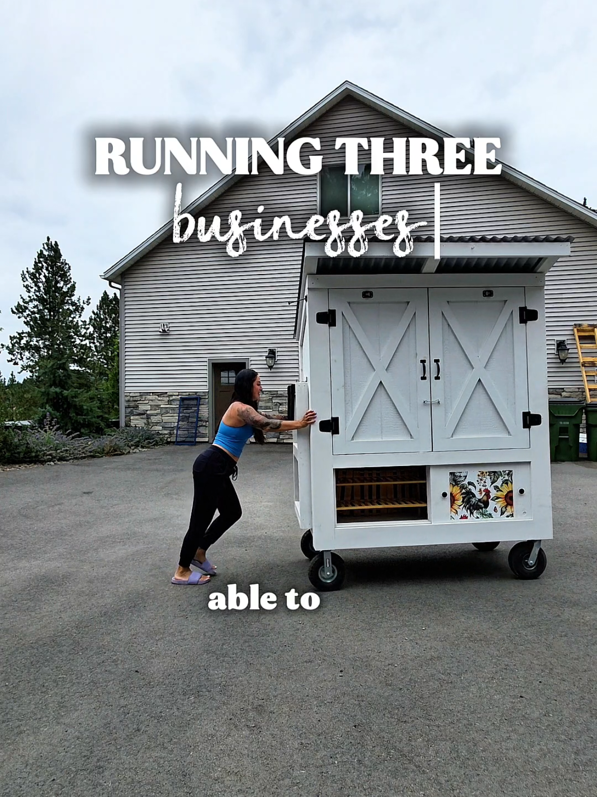 @thebudgetmom