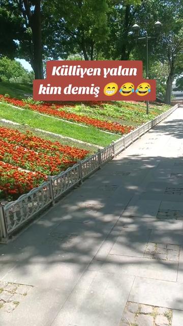 @🦂 GÜNEŞ 🦂