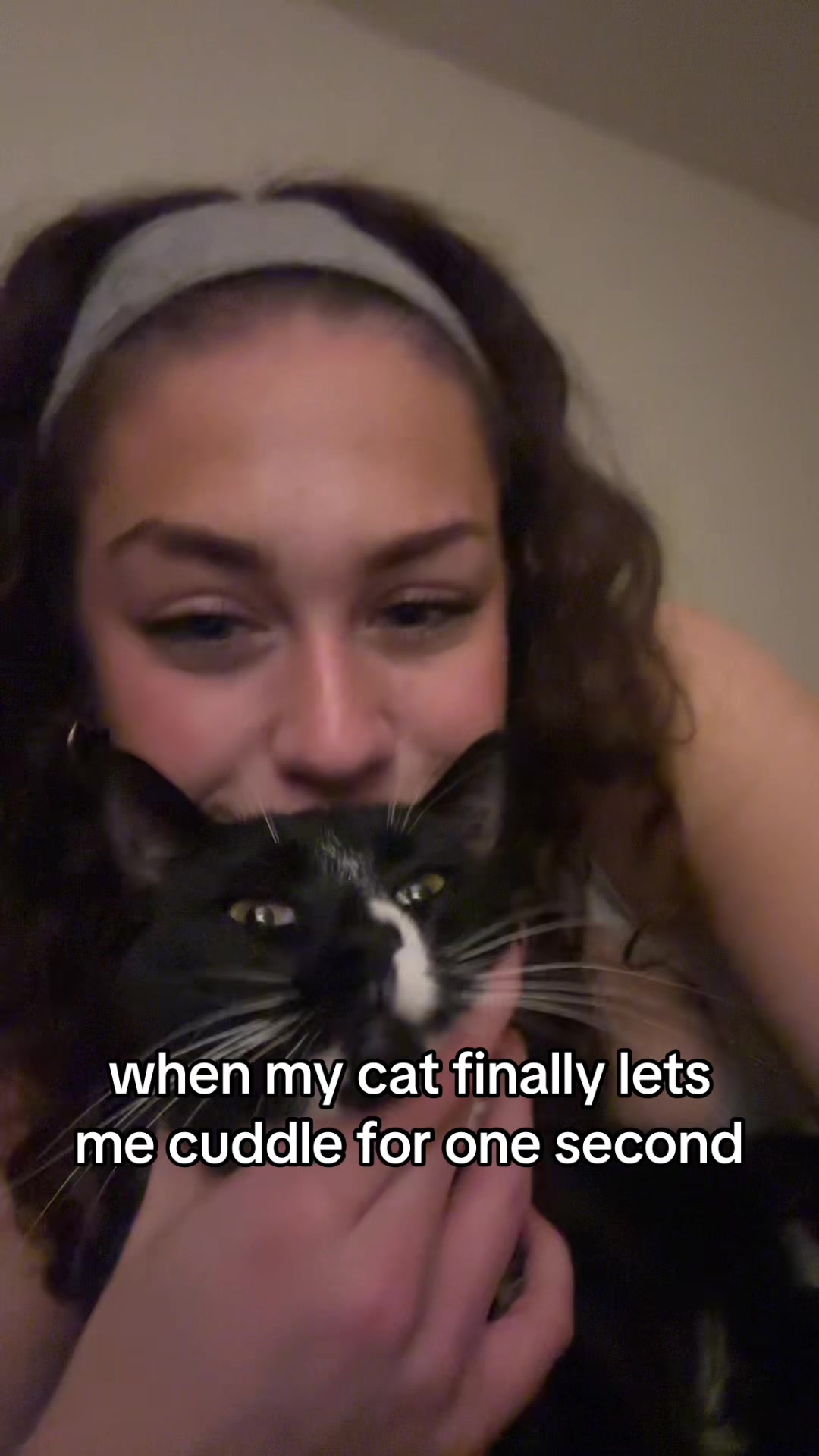 @allisonardito