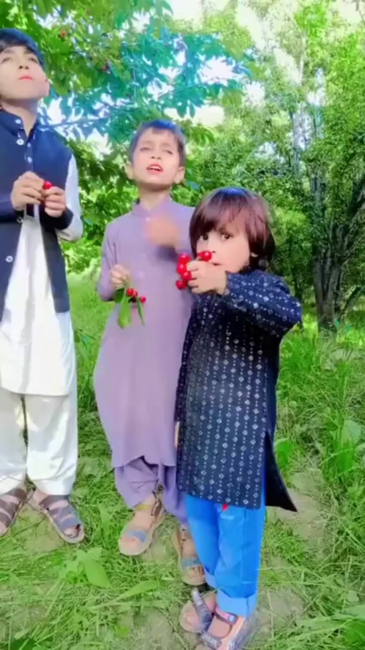 @Abdul Malik Kakar 2215