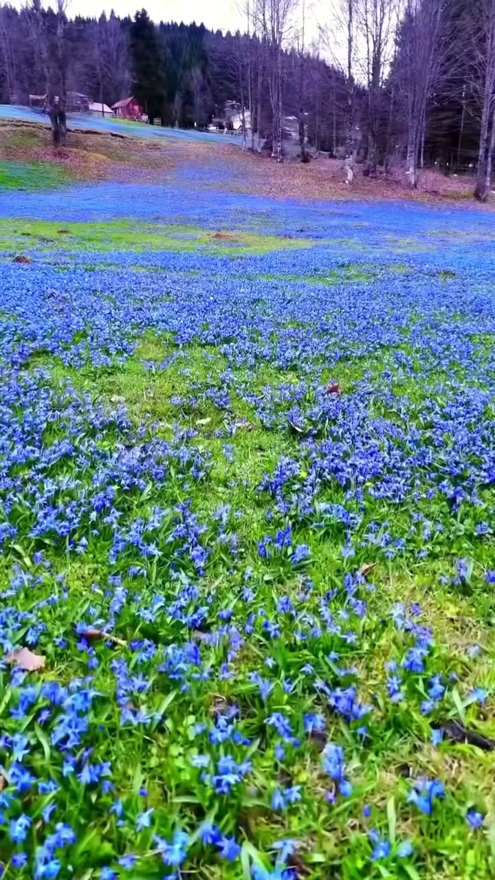 @_Hafizali61
