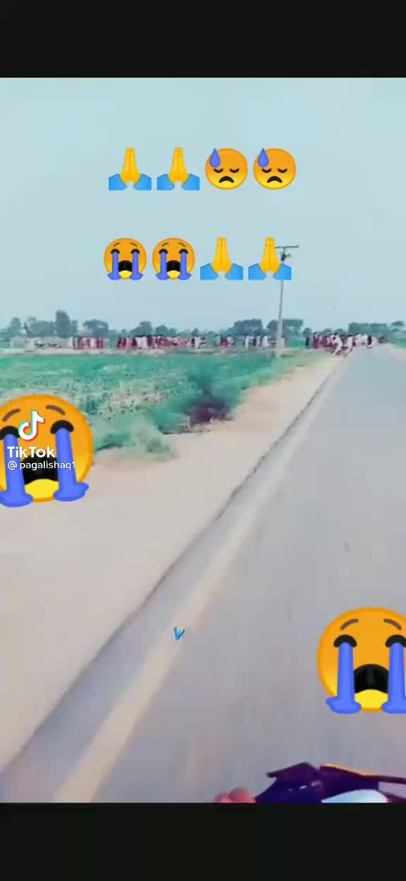 @Shafaqat Ali3372