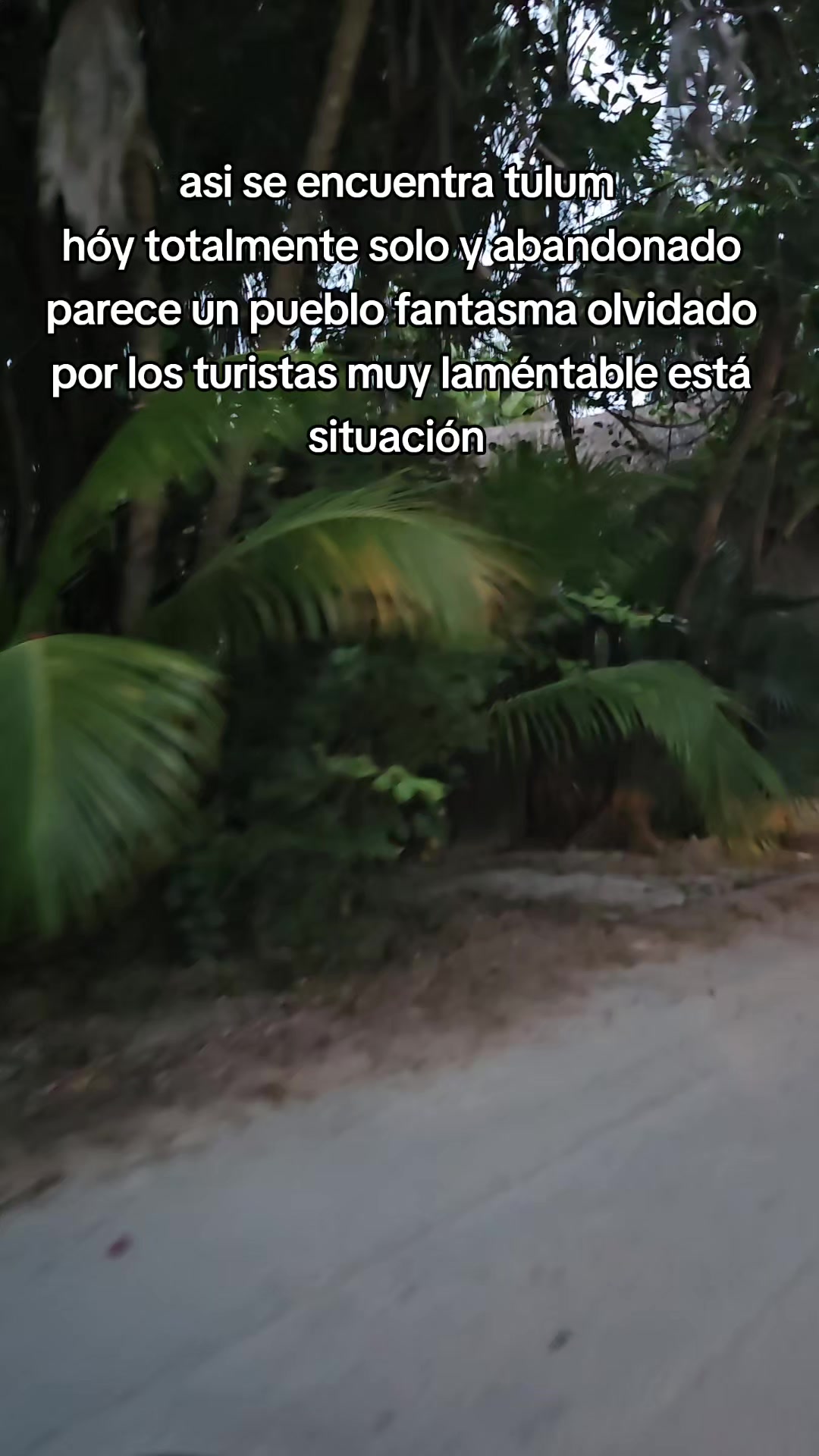 @el fantasma alerta