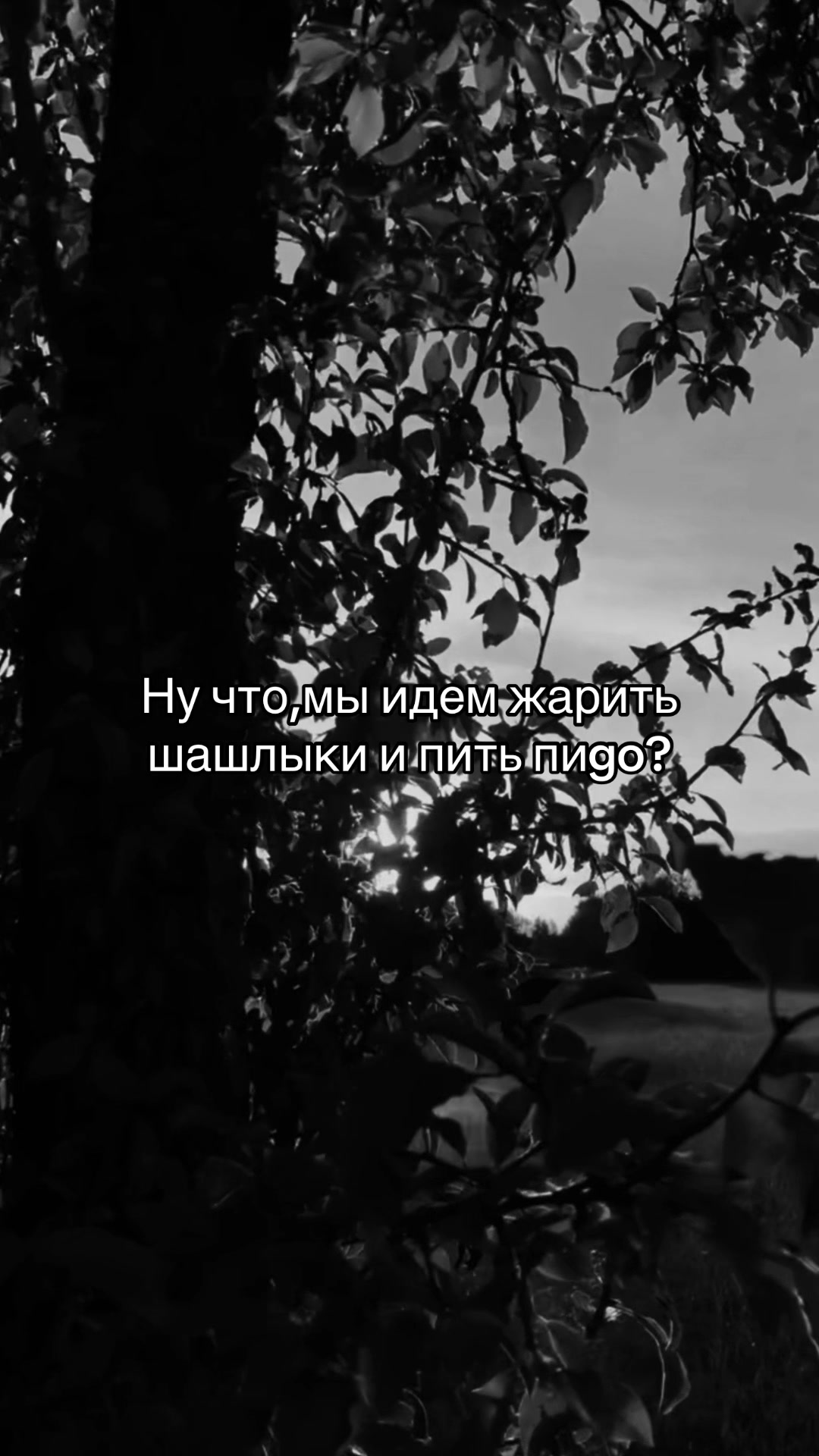@🦇mindsnaps666🦇