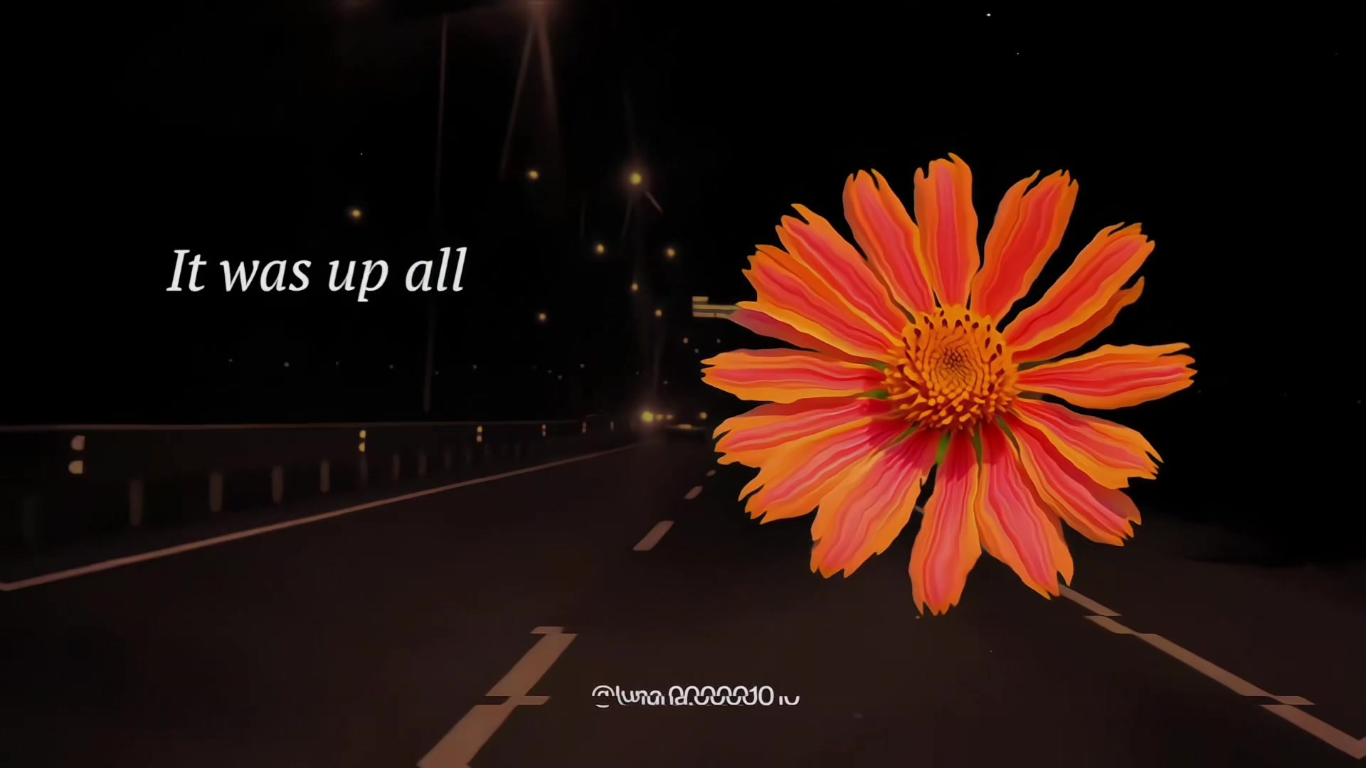 @L U N A ☾ ⋆