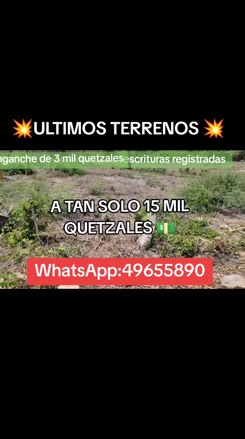 @Mario López asesor