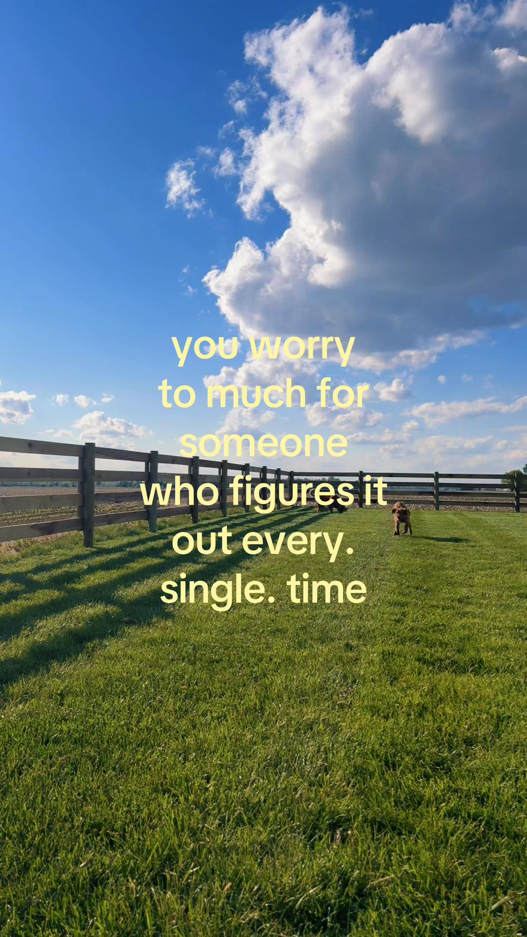 @quiet thoughts