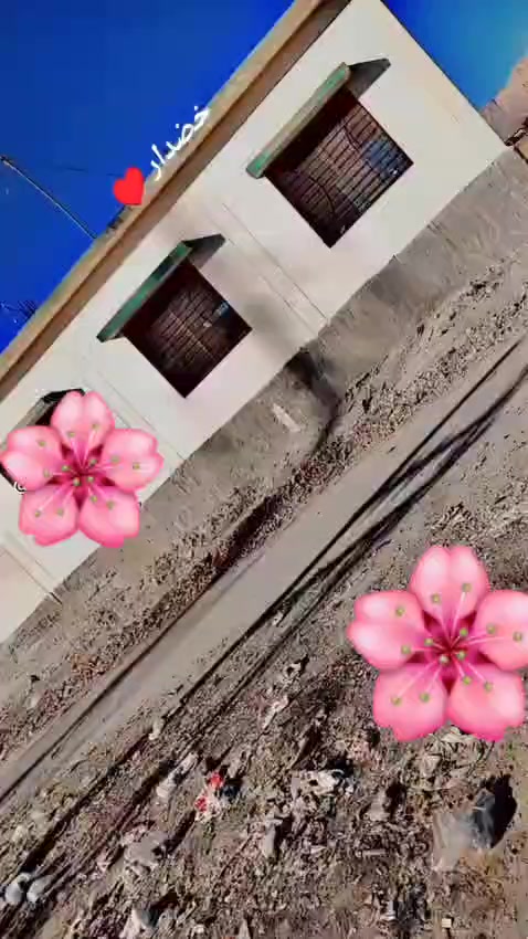 @shaobi55