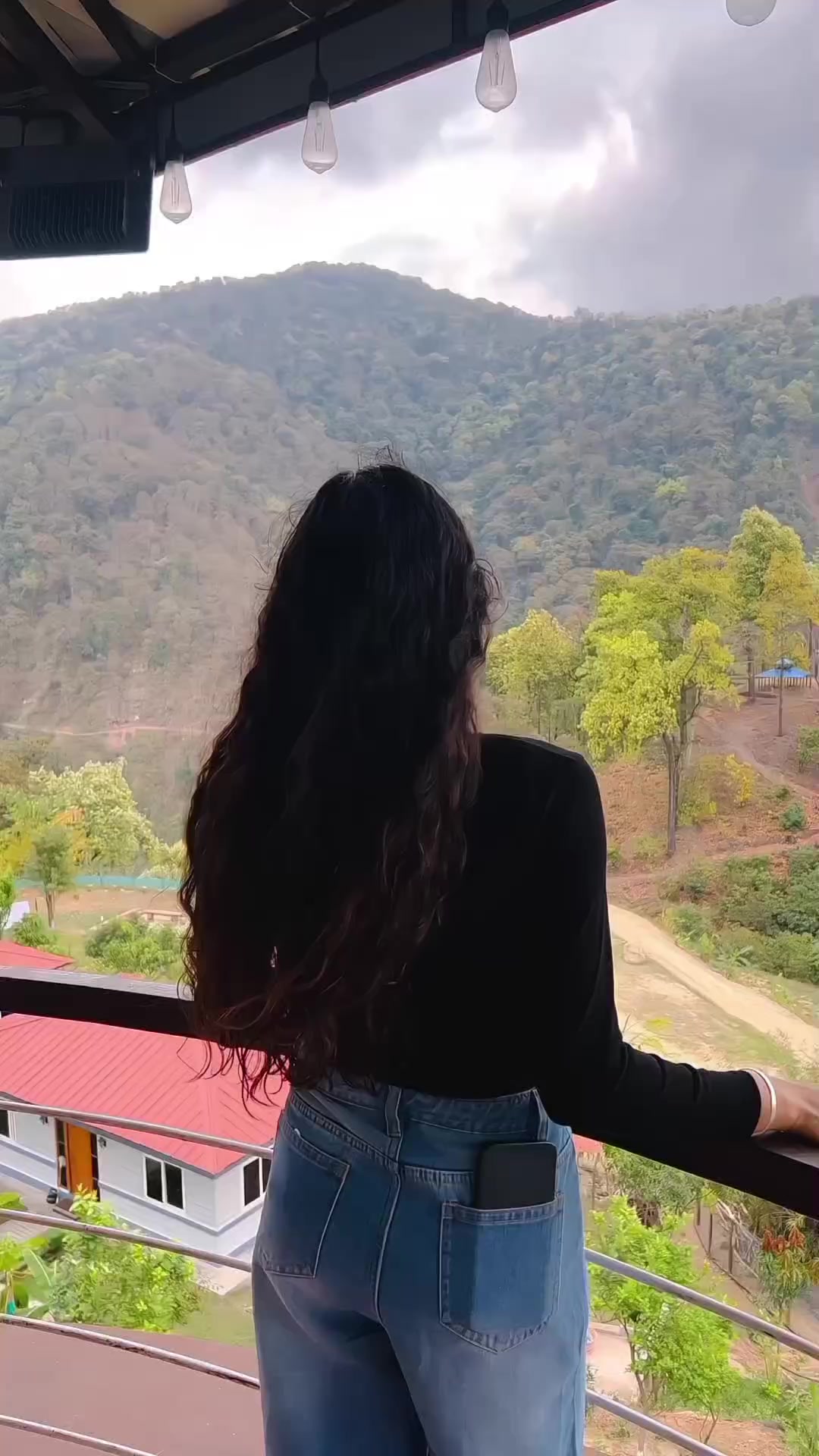 @🕊️