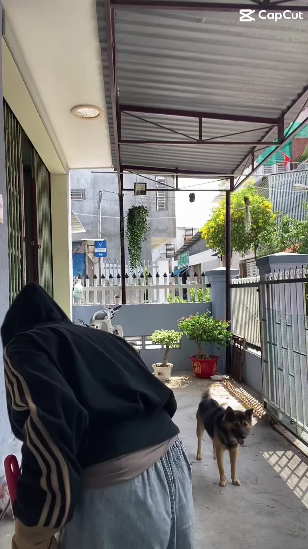 @Hồng Phúc