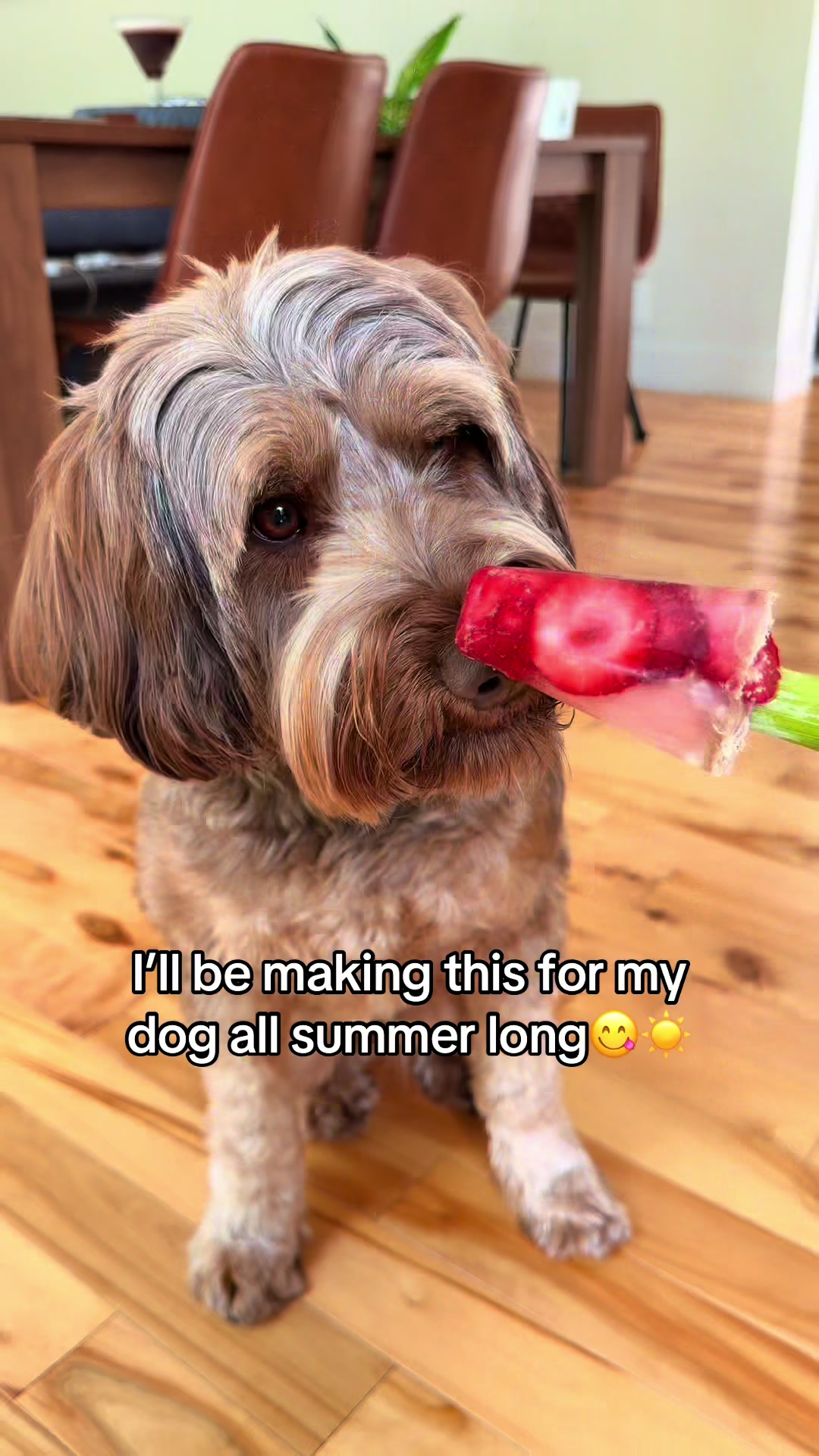 @Dogs Made Simple